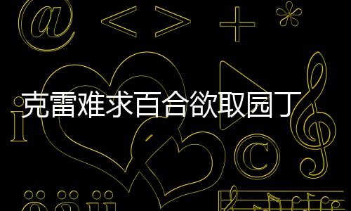克雷難求百合欲取園丁 小布經(jīng)紀人靜待轉(zhuǎn)會