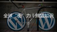 全球“街”力丨熊貓知識大挑戰 拉美民眾為成都大運會送祝福