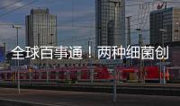 全球百事通！兩種細(xì)菌創(chuàng)造活體合成細(xì)胞