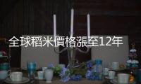 全球稻米價格漲至12年新高！中國洪災將進一步推升價格上漲｜天下雜誌