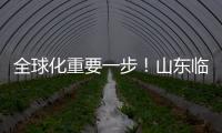 全球化重要一步！山東臨工首臺印度本地化生產裝載機下線