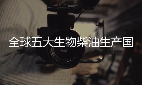 全球五大生物柴油生產國排名情況