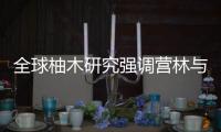 全球柚木研究強調營林與市場的重要性