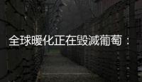 全球暖化正在毀滅葡萄：從栽種到裝瓶，葡萄酒產業其實還能更「永續」
