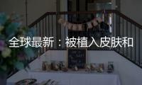 全球最新：被植入皮膚和顱骨之間的小型無線設備有助于殺死癌細胞