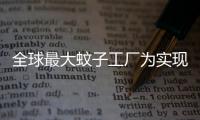 全球最大蚊子工廠為實現“以蚊治蚊”：日產500萬只蚊子并放生