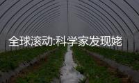 全球滾動:科學(xué)家發(fā)現(xiàn)姥鯊?fù)ㄟ^在巨大的圓圈中游泳來選擇伴侶