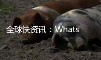 全球快資訊：WhatsApp：可在Android設備和iPhone之間轉移聊天記錄