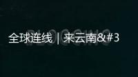 全球連線｜來云南 看近億只蝴蝶大爆發(fā)有多壯觀