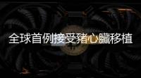 全球首例接受豬心臟移植的患者死亡