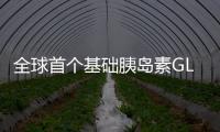 全球首個基礎(chǔ)胰島素GLP