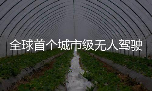全球首個城市級無人駕駛汽車社會實驗室落戶漳州開發區