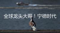 全球龍頭大哥！寧德時代、LG都向它要貨