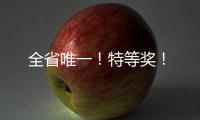 全省唯一！特等獎！