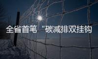全省首筆“碳減排雙掛鉤貸款”落地滁州_
