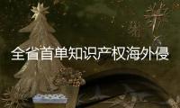 全省首單知識產(chǎn)權(quán)海外侵權(quán)責任保險落地滁州_