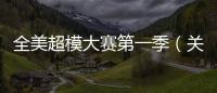 全美超模大賽第一季（關于全美超模大賽第一季的基本情況說明介紹）