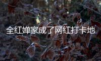 全紅嬋家成了網紅打卡地 全媽媽：不知道有這么多親戚！