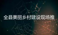 全縣美麗鄉村建設現場推進會召開