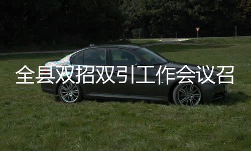 全縣雙招雙引工作會議召開