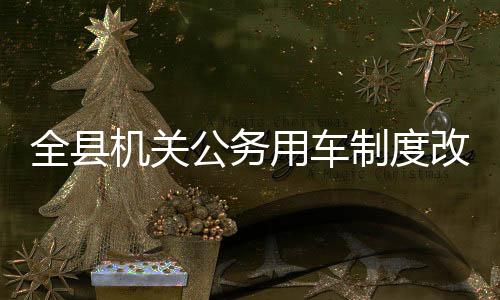 全縣機關公務用車制度改革拉開大幕