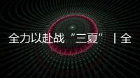 全力以赴戰“三夏”丨全力搶收百萬畝“延津小麥”