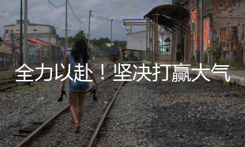 全力以赴！堅(jiān)決打贏大氣污染防治攻堅(jiān)戰(zhàn),行業(yè)資訊