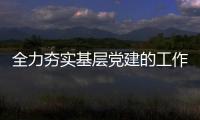 全力夯實基層黨建的工作基礎(chǔ)