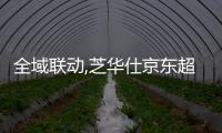全域聯(lián)動(dòng),芝華仕京東超品升艙持續(xù)引爆