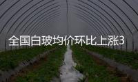 全國白玻均價環比上漲31元 庫存減67萬,行業資訊