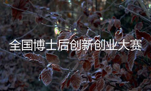 全國博士后創(chuàng)新創(chuàng)業(yè)大賽海外賽報名啟動