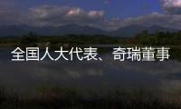 全國人大代表、奇瑞董事長尹同躍：惡性競爭的“價格戰”傷人傷己