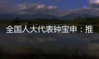 全國人大代表鐘寶申：推動綠氫、綠醇快速發展，引領中國深度脫碳