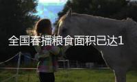全國春播糧食面積已達1億畝 智能育苗提高生產