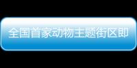 全國首家動物主題街區即將亮相重慶南濱路