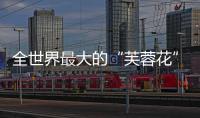 全世界最大的“芙蓉花”建筑開放 扎哈事務所作品（組圖）
