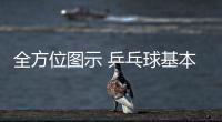 全方位圖示 乒乓球基本站位，很多人都不知道！