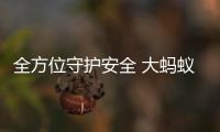 全方位守護安全 大螞蟻打造同級安全標桿