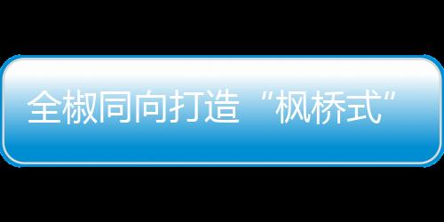 全椒同向打造“楓橋式”稅務(wù)分局_