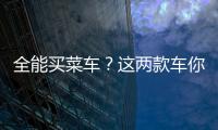全能買菜車？這兩款車你不看一定會后悔
