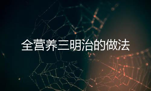全營養(yǎng)三明治的做法