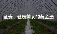 全麥，健康美食的黃金選擇