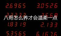 八哥怎么養才會溫柔一點？八哥要怎么養才聽話