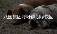 八國集團(tuán)呼吁伊朗盡快回應(yīng)核問題新方案