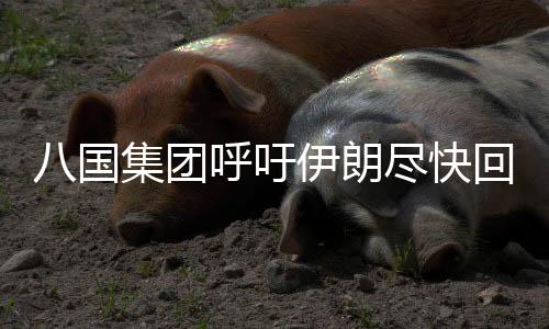 八國集團呼吁伊朗盡快回應核問題新方案