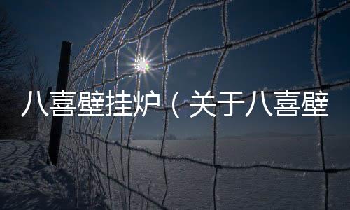 八喜壁掛爐（關(guān)于八喜壁掛爐的基本情況說(shuō)明介紹）
