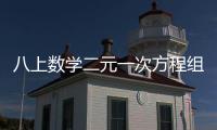 八上數(shù)學(xué)二元一次方程組計(jì)算題及答案（二元一次方程組計(jì)算題及答案）