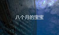 八個月的寶寶