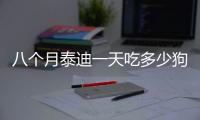 八個月泰迪一天吃多少狗糧(一個泰迪小狗多少錢)