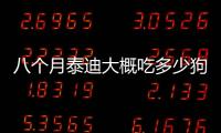 八個月泰迪大概吃多少狗糧合適